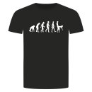 Evolution Sex T-Shirt